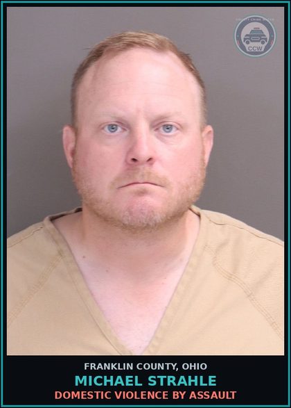 CCW arrest card for Michael Strahle in Franklin County: DOMESTIC VIOLENCE BY ASSAULT