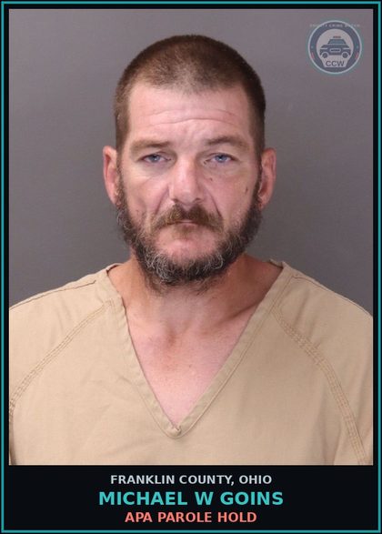 CCW arrest card for Michael W Goins in Franklin County: APA PAROLE HOLD