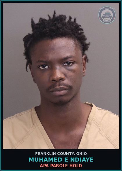 CCW arrest card for Muhamed E Ndiaye in Franklin County: APA PAROLE HOLD