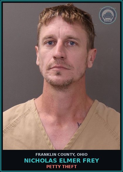 CCW arrest card for Nicholas Elmer Frey in Franklin County: PETTY THEFT