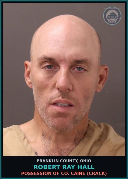 CCW arrest card for Robert Ray Hall in Franklin County: PETTY THEFT