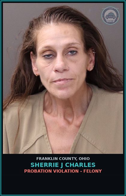 CCW arrest card for Sherrie J Charles in Franklin County: FAILURE TO COMPLY WITH ORDER OR SIGNAL OF POLICE