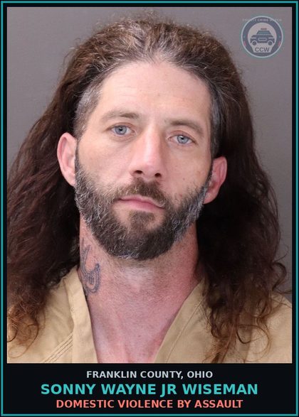 CCW arrest card for Sonny Wayne Jr Wiseman in Franklin County: PROBATION VIOLATION - FELONY
