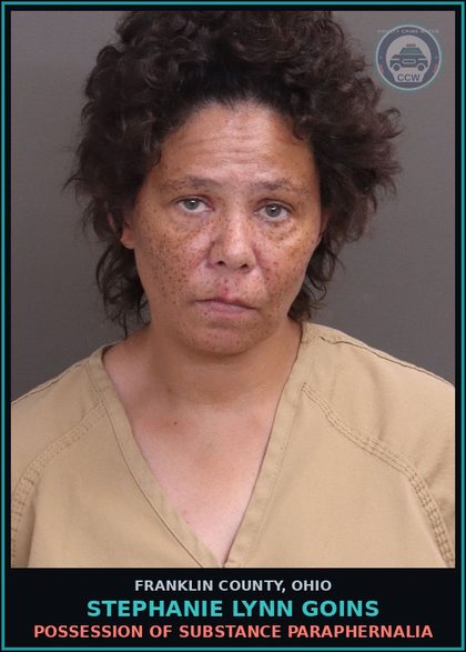 CCW arrest card for Stephanie Lynn Goins in Franklin County: POSSESSION OF DRUG PARAPHERNALIA