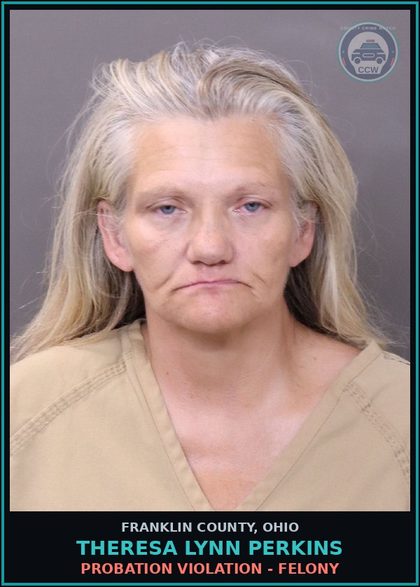 CCW arrest card for Theresa Lynn Perkins in Franklin County: PROBATION VIOLATION - FELONY