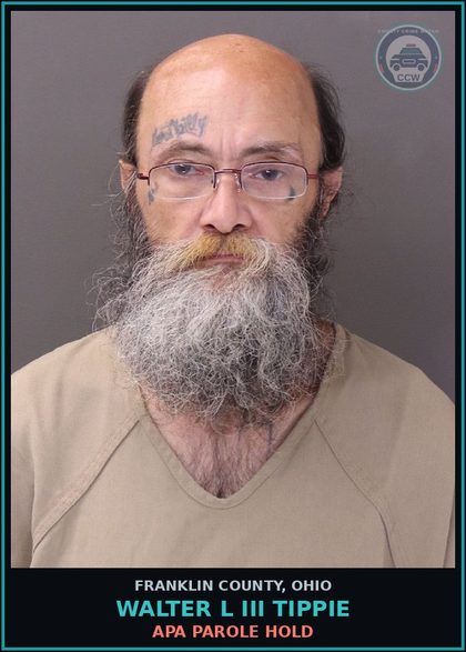 CCW arrest card for Walter L Iii Tippie in Franklin County: APA PAROLE HOLD