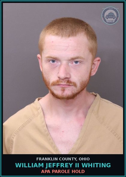 CCW arrest card for William Jeffrey Ii Whiting in Franklin County: APA PAROLE HOLD