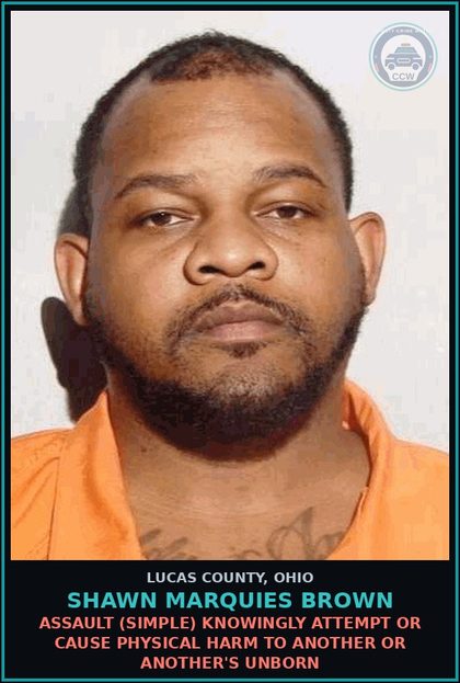 CCW arrest card for Shawn Marquies Brown in Lucas County: Domestic Violence Knowingly Cause Or Attempt To Cause Physical Harm To Family Or Household Member