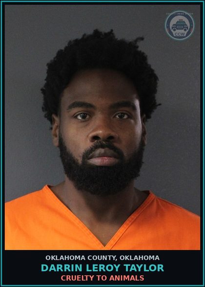 CCW arrest card for Darrin Leroy Taylor in Oklahoma County: CRUELTY TO ANIMALS