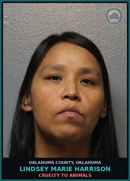 CCW arrest card for Lindsey Marie Harrison in Oklahoma County: CRUELTY TO ANIMALS