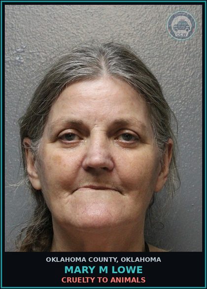 CCW arrest card for Mary M Lowe in Oklahoma County: CRUELTY TO ANIMALS