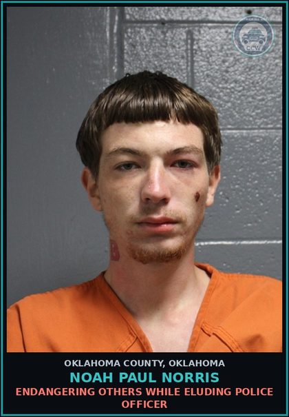 CCW arrest card for Noah Paul Norris in Oklahoma County: ENDANGERING OTHERS WHILE ELUDING POLICE OFFICER