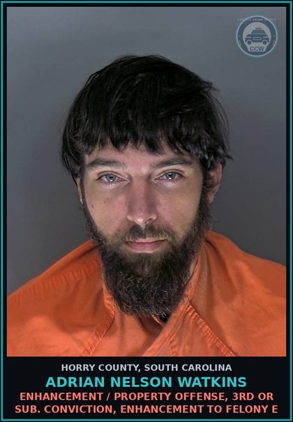CCW arrest card for Adrian Nelson Watkins in Horry County: Enhancement / Property offense, 3rd or sub. conviction, enhancement to Felony E