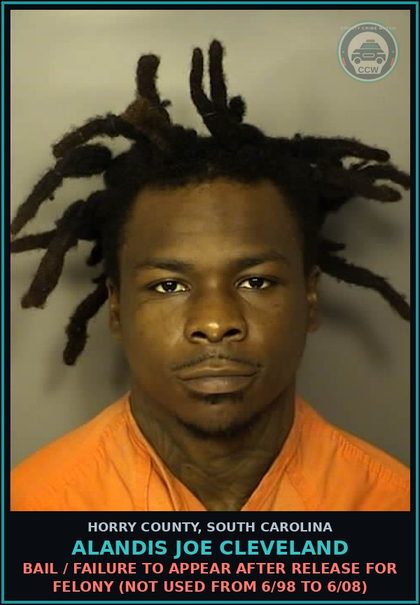 CCW arrest card for Alandis Joe Cleveland in Horry County: Bail / Failure to appear after release for Felony (not used from 6/98 to 6/08)