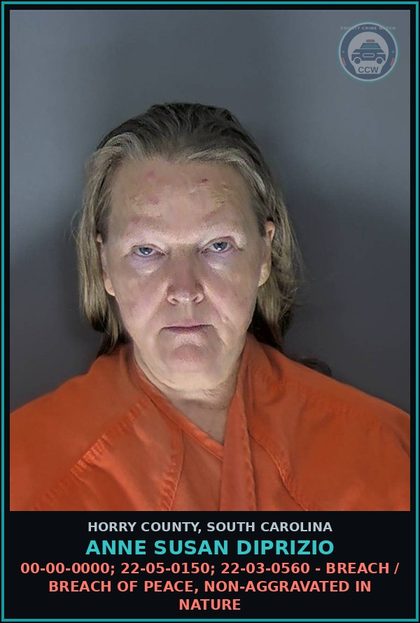 CCW arrest card for Anne Susan Diprizio in Horry County: 00-00-0000; 22-05-0150; 22-03-0560 - Breach / Breach of peace, non-aggravated in nature