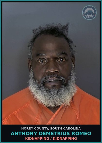 CCW arrest card for Anthony Demetrius Romeo in Horry County: Drugs / MDP, Narcotic drugs in Sch. I(b) & (c), LSD, and Sched. II - 1st offense