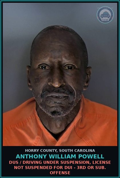 CCW arrest card for Anthony William Powell in Horry County: Traffic / Habitual Traffic Offenders, DUS as per Habitual Traffic Offender status