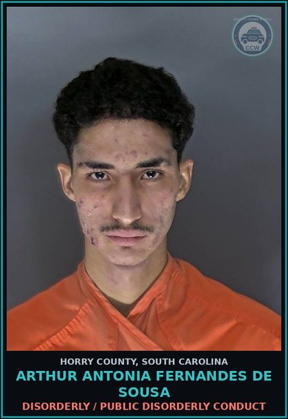 CCW arrest card for Arthur Antonia Fernandes De Sousa in Horry County: Disorderly / Public disorderly conduct