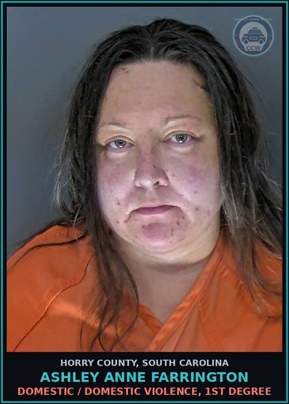 CCW arrest card for Ashley Anne Farrington in Horry County: Domestic / Domestic Violence, 1st degree