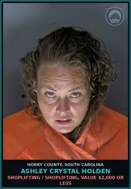 CCW arrest card for Ashley Crystal Holden in Horry County: Shoplifting / Shoplifting, value $2,000 or less