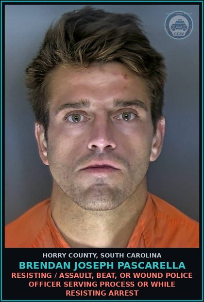 CCW arrest card for Brendan Joseph Pascarella in Horry County: Trespassing / Entry on another's pasture or other lands after notice