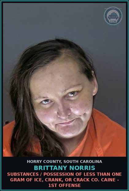 CCW arrest card for Brittany Norris in Horry County: Drugs / Poss. of 28g (1 oz) or less of Canna or 10g or less of hash - 1st offense (no longer used)(see 0659)