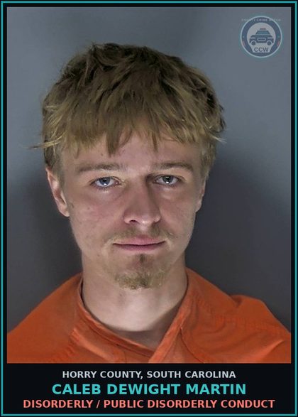CCW arrest card for Caleb Dewight Martin in Horry County: Disorderly / Public disorderly conduct