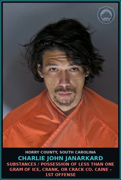 CCW arrest card for Charlie John Janarkard in Horry County: Traffic / Pedestrians on highways