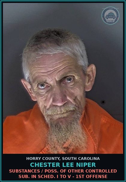 CCW arrest card for Chester Lee Niper in Horry County: Drugs / Poss. of other controlled sub. in Sched. I to V - 1st offense