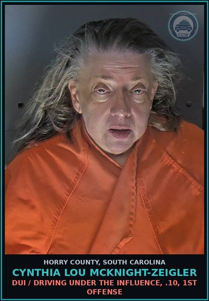 CCW arrest card for Cynthia Lou Mcknight-Zeigler in Horry County: DUI / Driving under the influence, .10, 1st offense