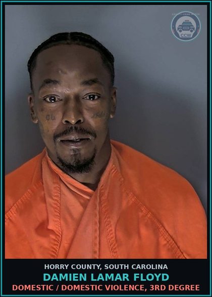 CCW arrest card for Damien Lamar Floyd in Horry County: Domestic / Domestic Violence, 3rd degree