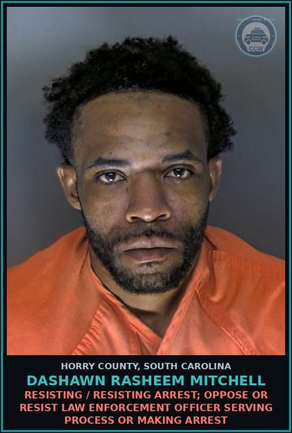 CCW arrest card for Dashawn Rasheem Mitchell in Horry County: Resisting / Resisting Arrest; Oppose or resist law enforcement officer serving process or making arrest