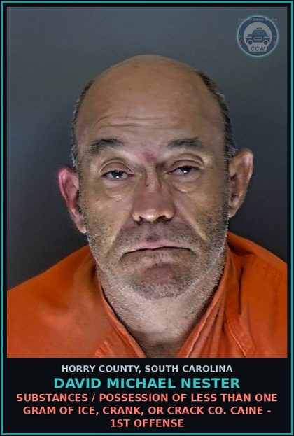 CCW arrest card for David Michael Nester in Horry County: Drugs / Possession of less than one gram of ice, crank, or crack cocaine - 1st offense