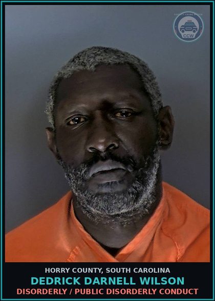 CCW arrest card for Dedrick Darnell Wilson in Horry County: Disorderly / Public disorderly conduct
