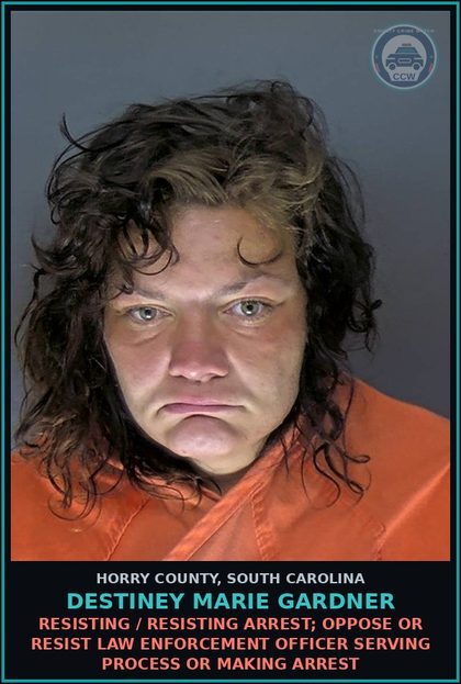 CCW arrest card for Destiney Marie Gardner in Horry County: Resisting / Resisting Arrest; Oppose or resist law enforcement officer serving process or making arrest