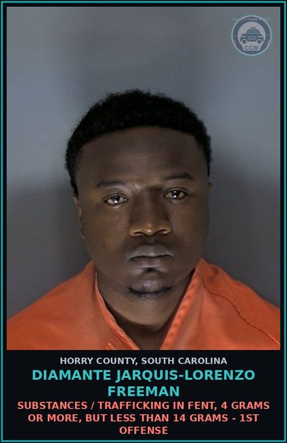 CCW arrest card for Diamante Jarquis-Lorenzo Freeman in Horry County: Drugs / Trafficking in Fent, 4 grams or more, but less than 14 grams - 1st offense