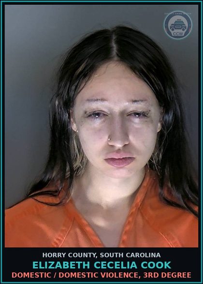 CCW arrest card for Elizabeth Cecelia Cook in Horry County: Domestic / Domestic Violence, 3rd degree