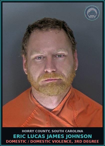CCW arrest card for Eric Lucas James Johnson in Horry County: Domestic / Domestic Violence, 3rd degree