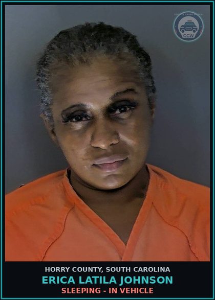 CCW arrest card for Erica Latila Johnson in Horry County: Sleeping - In vehicle