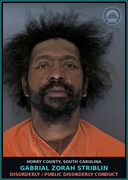 CCW arrest card for Gabrial Zorah Striblin in Horry County: Disorderly / Public disorderly conduct