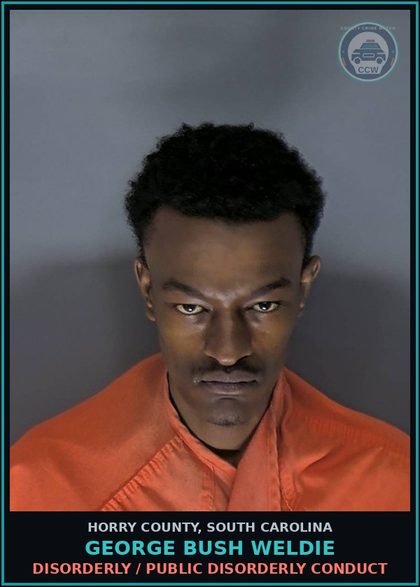 CCW arrest card for George Bush Weldie in Horry County: Disorderly / Public disorderly conduct
