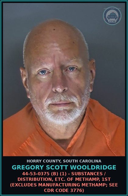 CCW arrest card for Gregory Scott Wooldridge in Horry County: 44-53-0375 (B) (1) - Drugs / Distribution, etc. of Methamp, 1st (Excludes manufacturing meth; see CDR Code 3776)