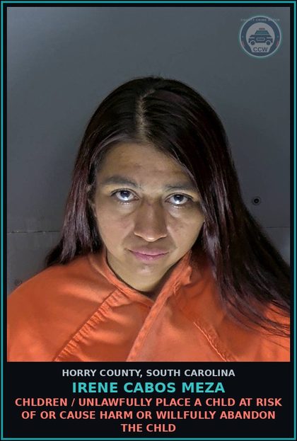 CCW arrest card for Irene Cabos Meza in Horry County: Children / Unlawfully place a chld at risk of or cause harm or willfully abandon the chld
