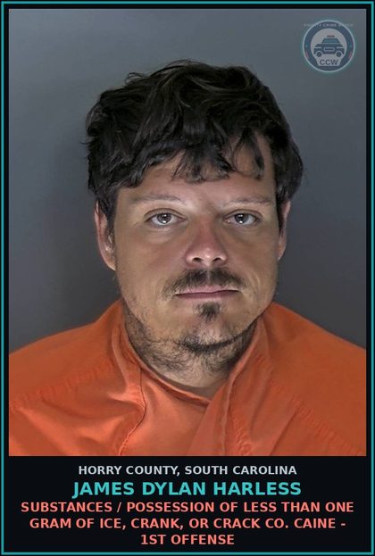 CCW arrest card for James Dylan Harless in Horry County: Drugs / Possession of less than one gram of ice, crank, or crack cocaine - 1st offense