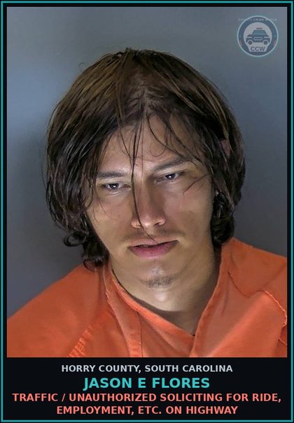 CCW arrest card for Jason E Flores in Horry County: Traffic / Unauthorized soliciting for ride, employment, etc. on highway
