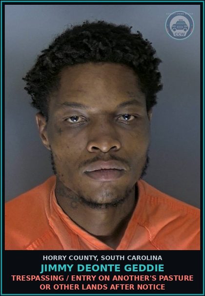 CCW arrest card for Jimmy Deonte Geddie in Horry County: Trespassing / Entry on another's pasture or other lands after notice