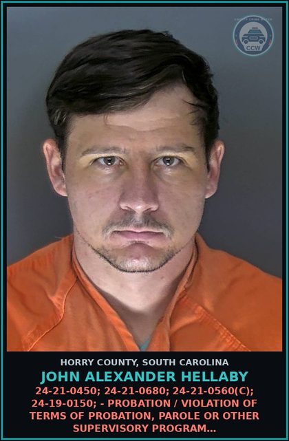 CCW arrest card for John Alexander Hellaby in Horry County: 24-21-0450; 24-21-0680; 24-21-0560(C); 24-19-0150; - Probation / violation of terms of probation, parole or other supervisory program…