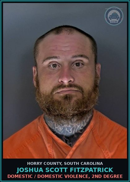 CCW arrest card for Joshua Scott Fitzpatrick in Horry County: Domestic / Domestic Violence, 2nd degree