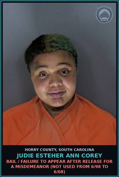 CCW arrest card for Judie Esteher Ann Corey in Horry County: Bail / Failure to appear after release for a Misdemeanor (not used from 6/98 to 6/08)