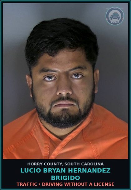 CCW arrest card for Lucio Bryan Hernandez Brigido in Horry County: Traffic / Driving without a license